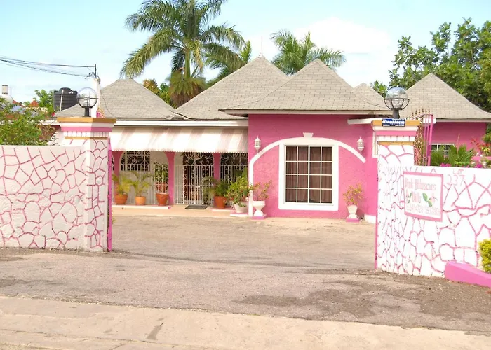 Pink Hibiscus * Montego Bay