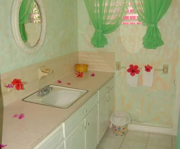 Pink Hibiscus *