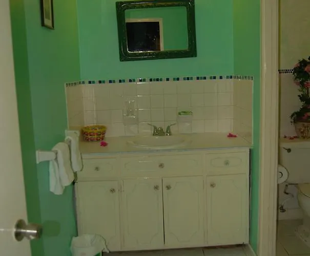 Pink Hibiscus Villa Montego Bay