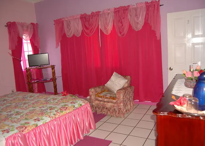 Pink Hibiscus Villa Montego Bay