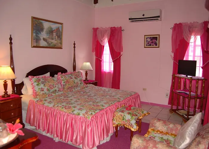 Pink Hibiscus Villa *